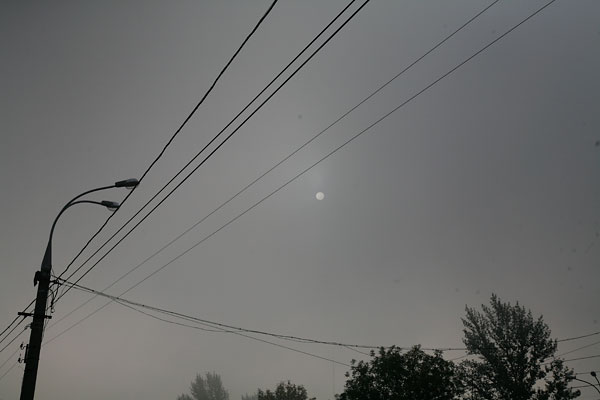 andy scholz stauraum